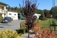20151010_134928